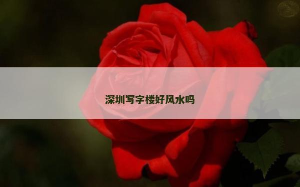 深圳写字楼好风水吗