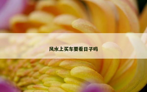 风水上买车要看日子吗