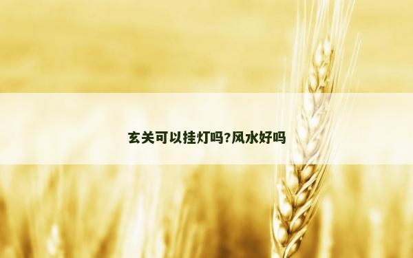 玄关可以挂灯吗?风水好吗