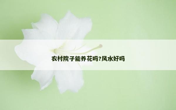 农村院子能养花吗?风水好吗