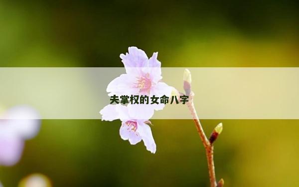 夫掌权的女命八字
