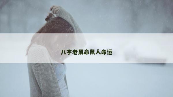 八字老鼠命鼠人命运