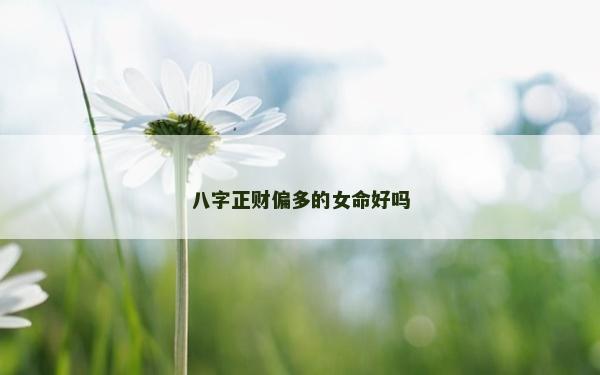 八字正财偏多的女命好吗