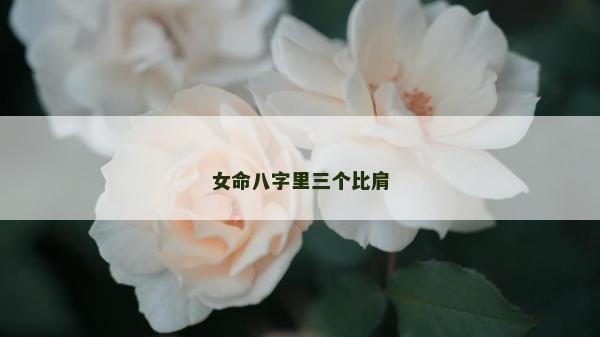 女命八字里三个比肩