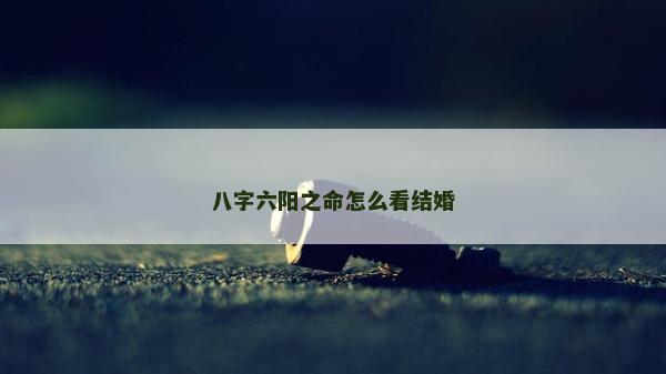 八字六阳之命怎么看结婚