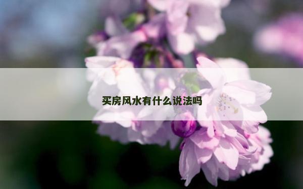 买房风水有什么说法吗