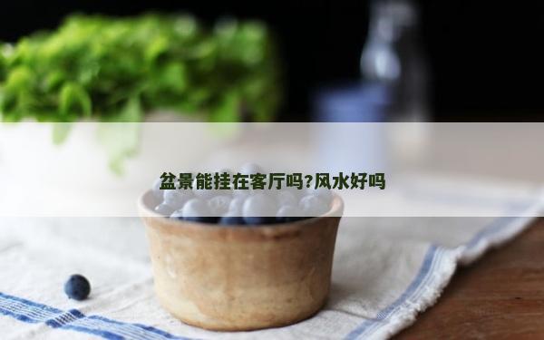 盆景能挂在客厅吗?风水好吗