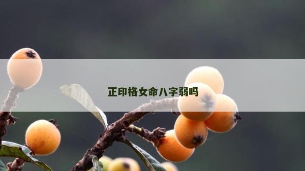 正印格女命八字弱吗