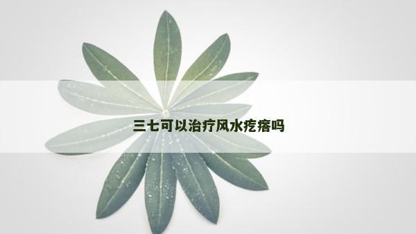 三七可以治疗风水疙瘩吗
