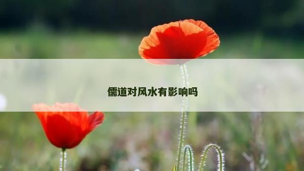 儒道对风水有影响吗