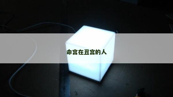 命宫在丑宫的人