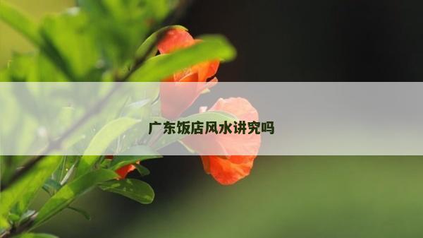 广东饭店风水讲究吗