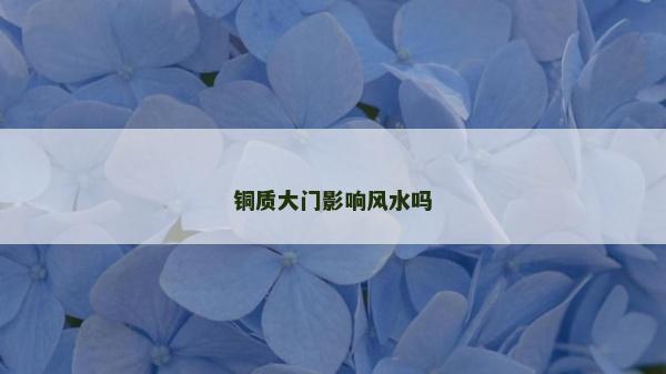 铜质大门影响风水吗