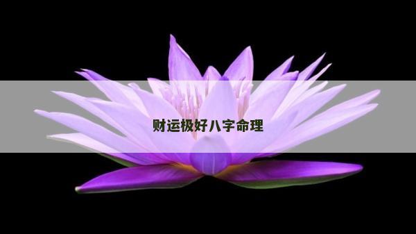 财运极好八字命理