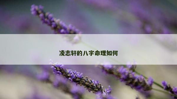 凌志轩的八字命理如何