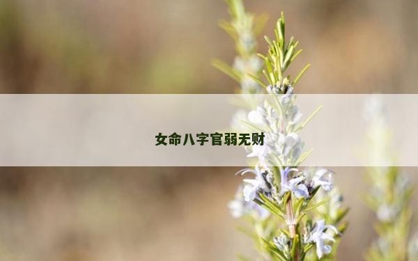 女命八字官弱无财