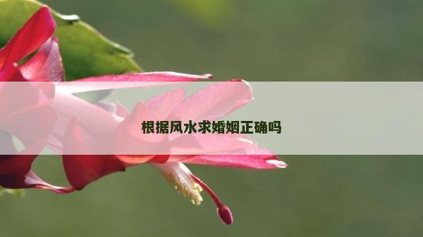 根据风水求婚姻正确吗