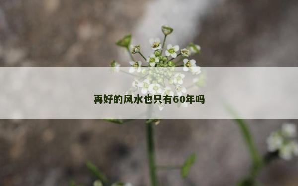 再好的风水也只有60年吗