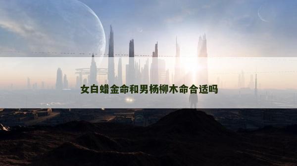 女白蜡金命和男杨柳木命合适吗