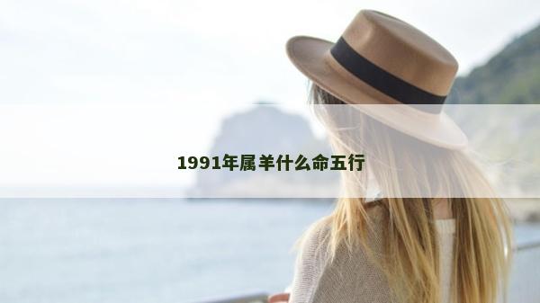 1991年属羊什么命五行
