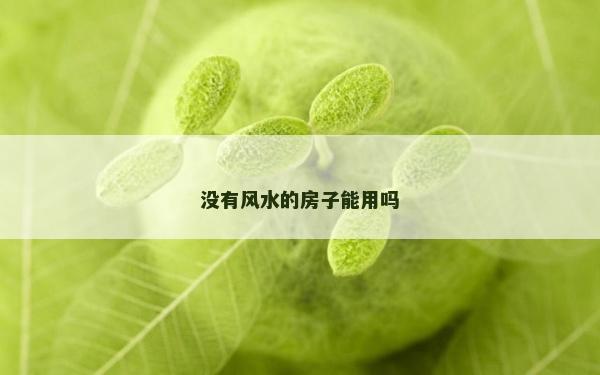 没有风水的房子能用吗