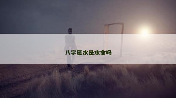 八字属水是水命吗