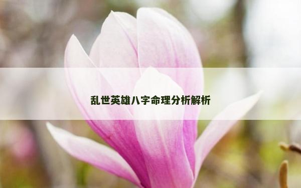 乱世英雄八字命理分析解析