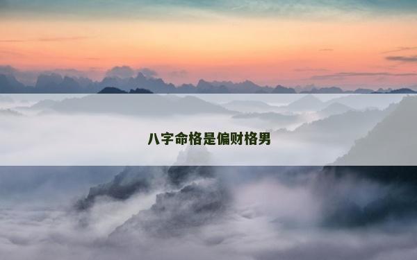 八字命格是偏财格男