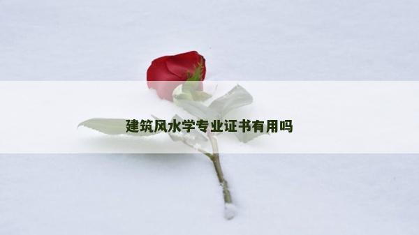 建筑风水学专业证书有用吗