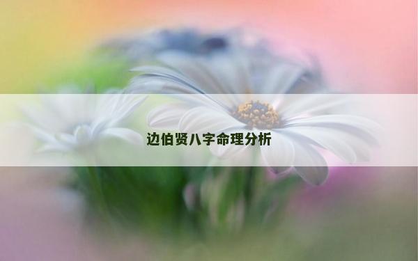 边伯贤八字命理分析