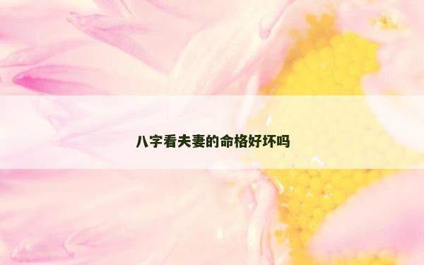 八字看夫妻的命格好坏吗