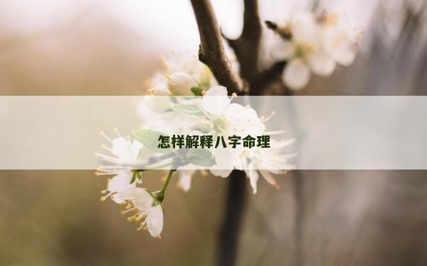 怎样解释八字命理