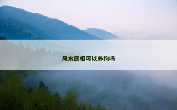 风水属相可以养狗吗