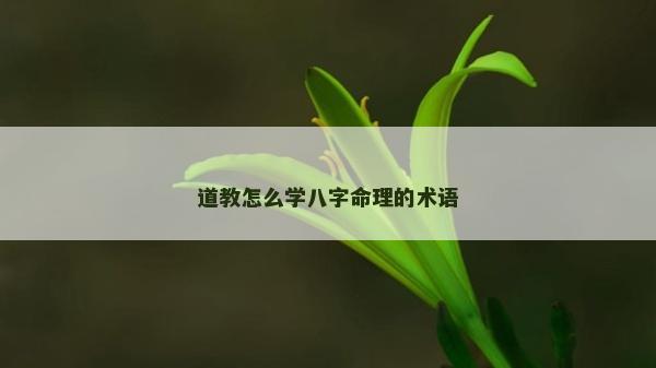 道教怎么学八字命理的术语