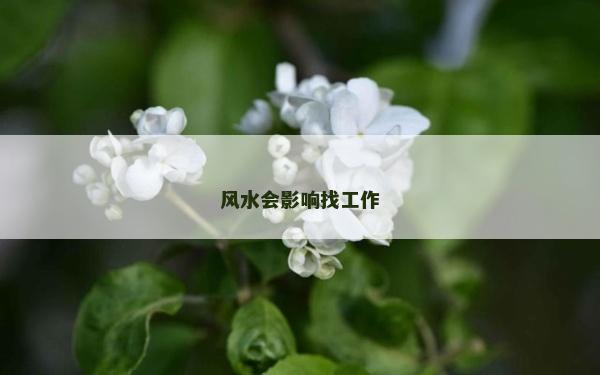 风水会影响找工作