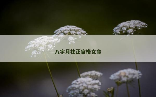 八字月柱正官格女命