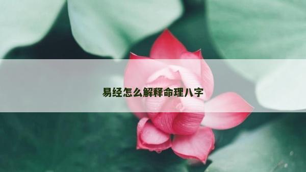 易经怎么解释命理八字