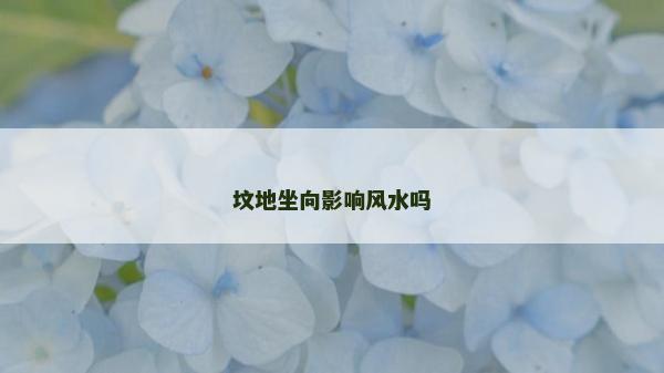 坟地坐向影响风水吗