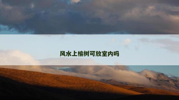 风水上榆树可放室内吗