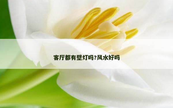 客厅都有壁灯吗?风水好吗