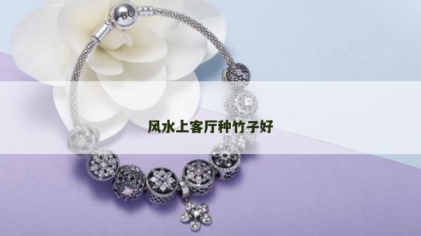 风水上客厅种竹子好