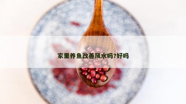 家里养鱼改善风水吗?好吗