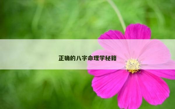 正确的八字命理学秘籍