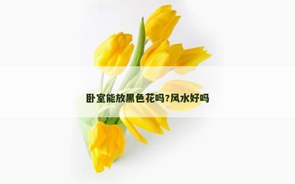 卧室能放黑色花吗?风水好吗