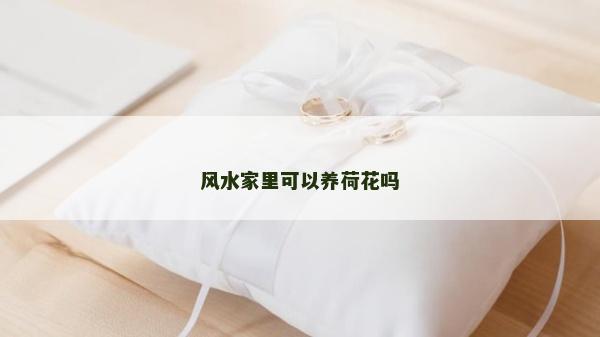 风水家里可以养荷花吗