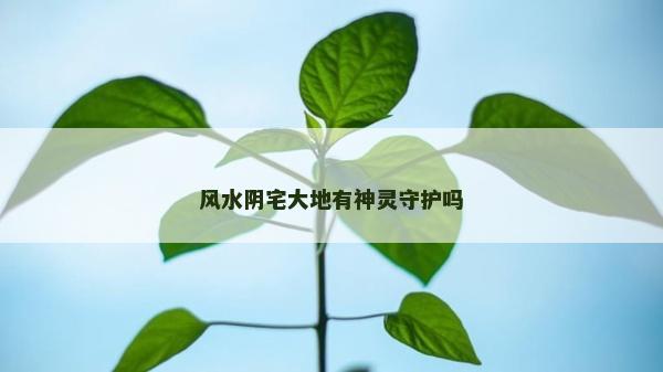 风水阴宅大地有神灵守护吗