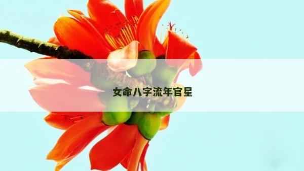女命八字流年官星