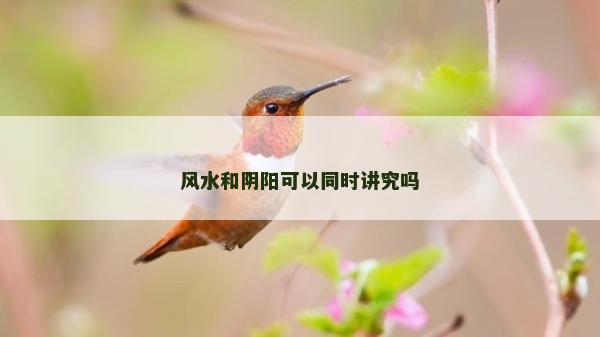 风水和阴阳可以同时讲究吗