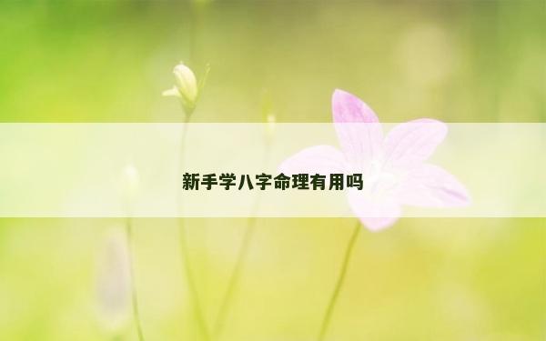 新手学八字命理有用吗