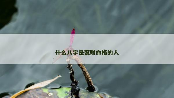 什么八字是聚财命格的人